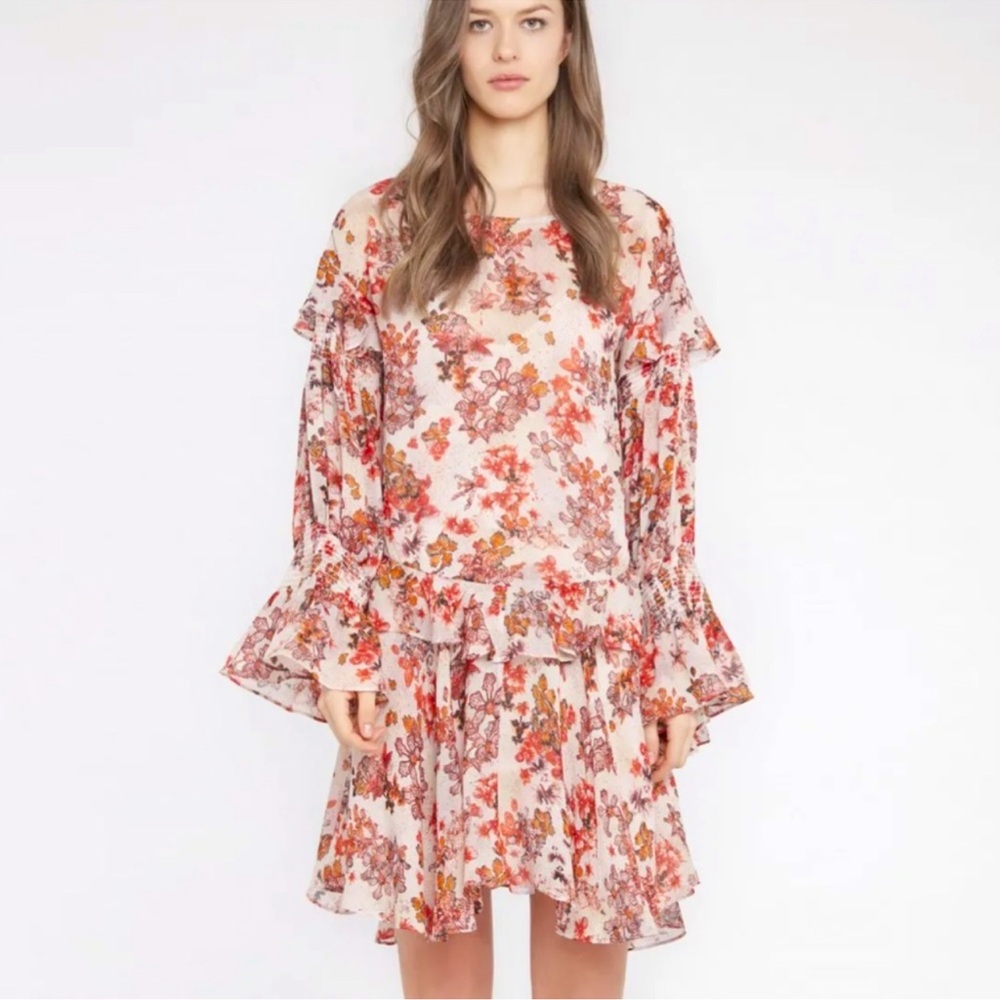 NEW IRO Averen Floral Print Ruffle Dress